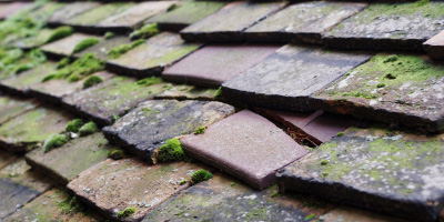 Ludlow roof repair costs